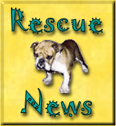 rescue news